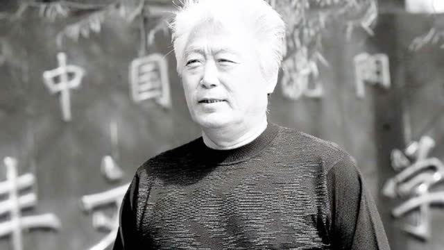 白岩松:我们要对高丰文指导说声谢谢