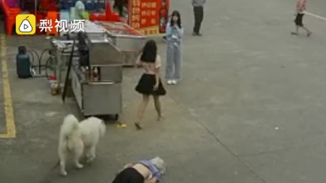 牵狗女孩表示因害怕逃跑:曾想跟老人家属道歉……