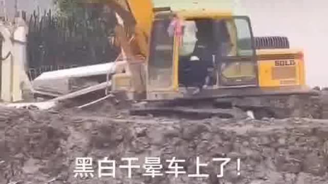 什么情况?劳累过度?生活不易,且行且珍惜...