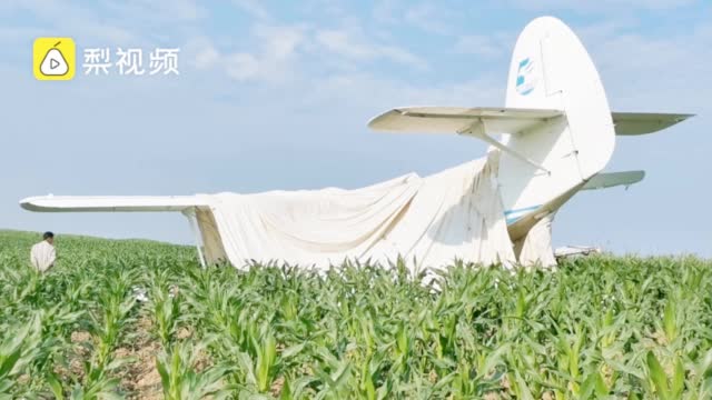 黑龙江一喷药飞机迫降庄稼地,村民:机长头部受轻伤