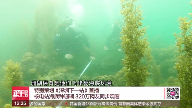 核电站海底种珊瑚 320万网友同步观看