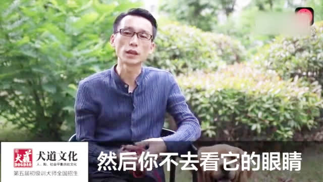 国家宠物行为学高级讲师唐伟敏教你在路遇猛狗咬人时该如何救人及自救，