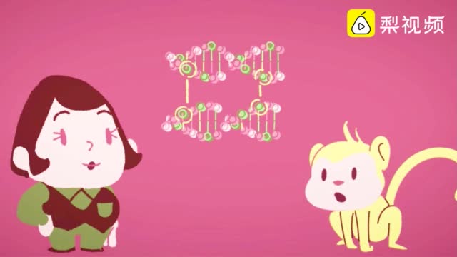 TED：病毒如何从动物传染给人类？